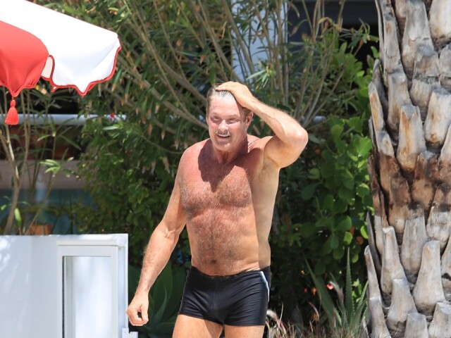 David Hassellhoff