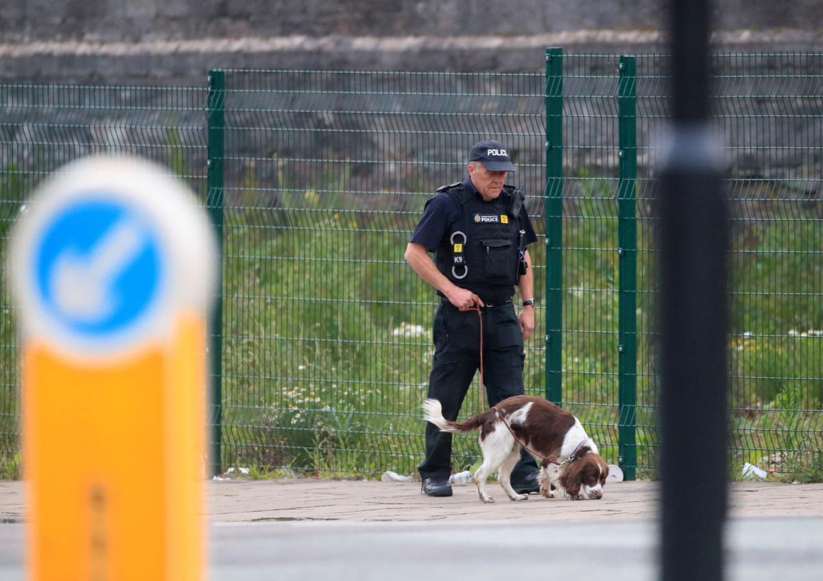 utok, manchester, policia, teroristicky cin, velka britania, pes