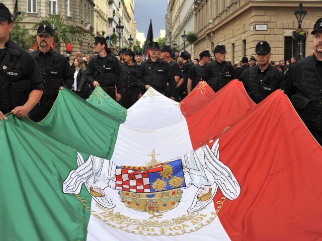 madarsko, madari, demonstranti, madarska vlajka