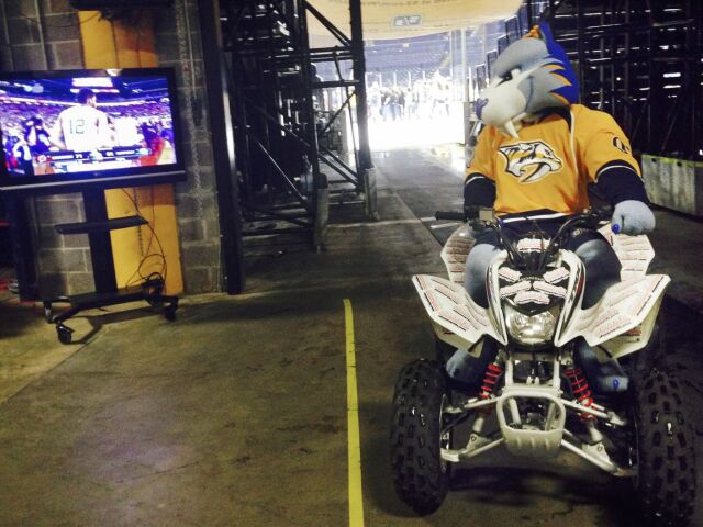 Nashville Predators, maskot