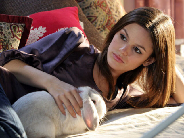 rachel Bilson