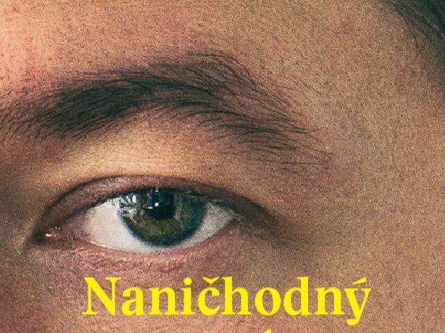 Lyrik: Naničhodný poet, Diverzita