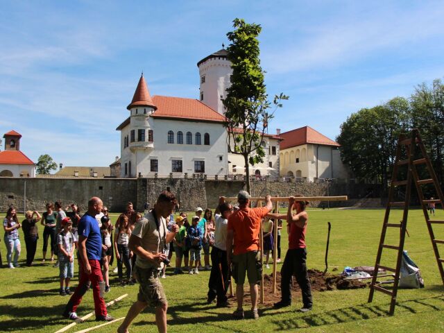 Považské múzeum v Žiline, dub červený, strom,