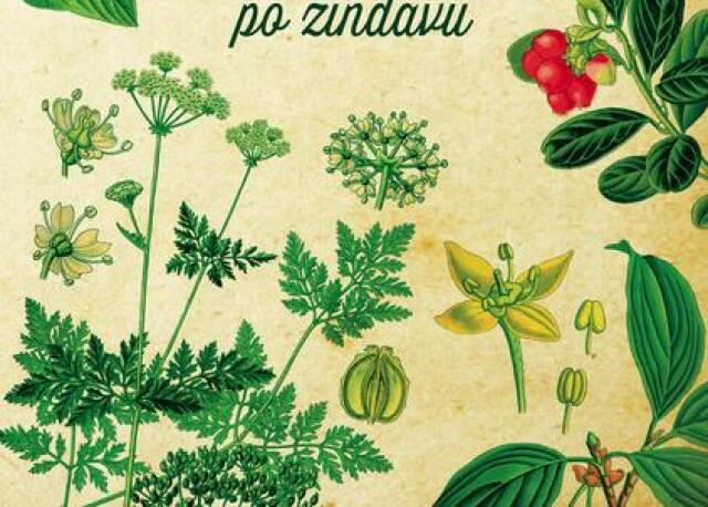 Jaroslava Bednářová, Herbár alebo od alchemilky po žindavu
