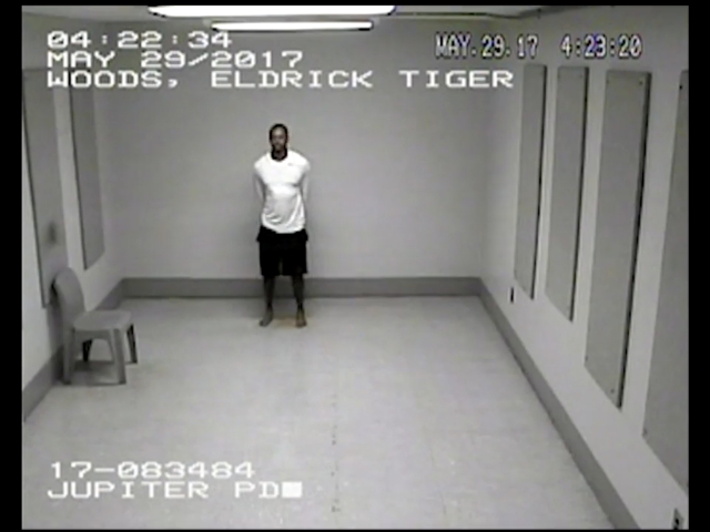 Tiger Woods