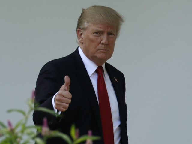 donald trump, trump,