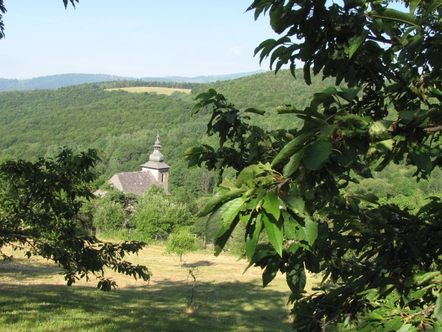 brdárka, čerešne, mráz, plody