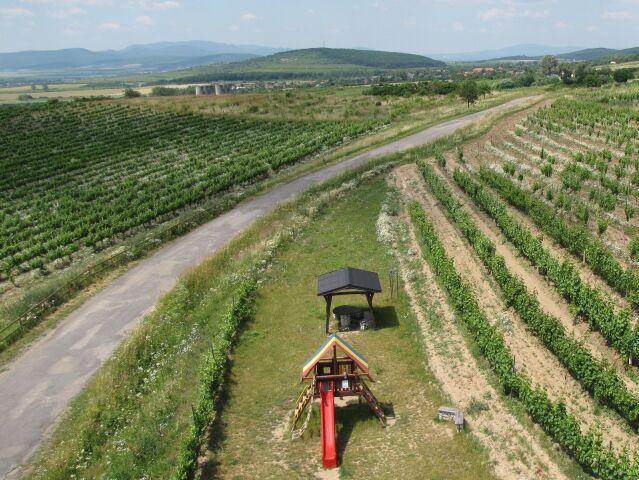 Tokaj, vinice, vínne pivnice, výhľad, Sudová veža