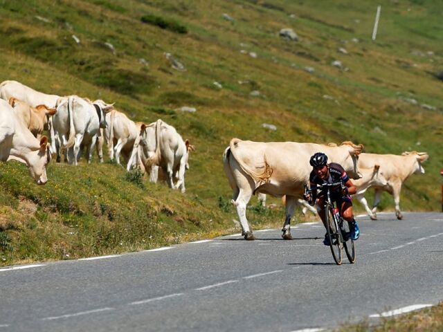 Warren Barguil