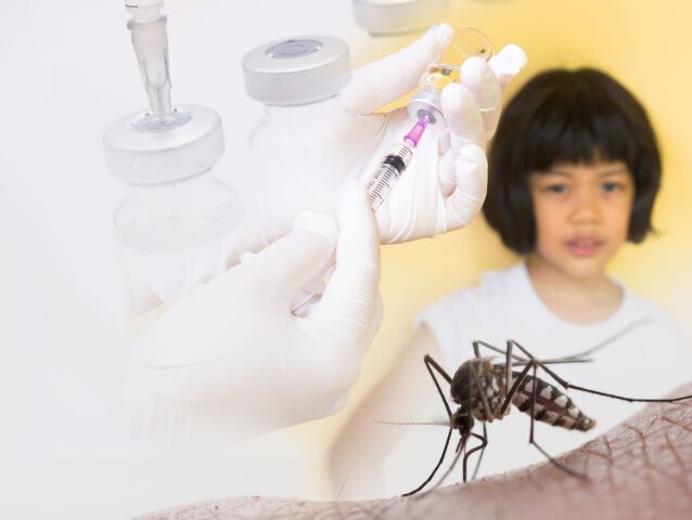 komár, horúčka dengue