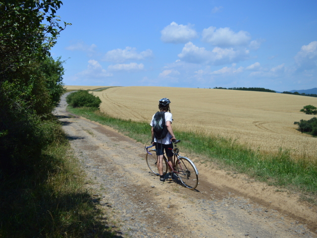 cyklista, bicykel, poľná cesta, cyklotrasa, pole, šport