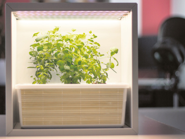 GrowBox