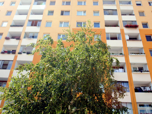 panelák