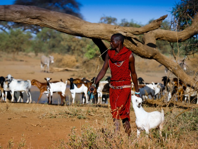 Afrika