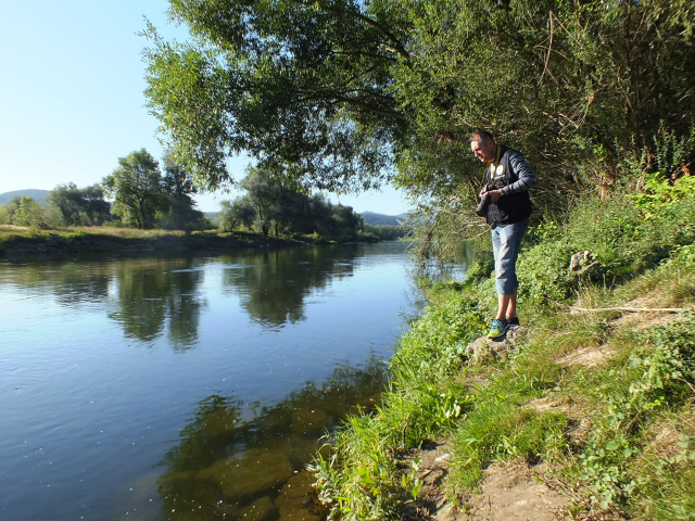 váh, ryby
