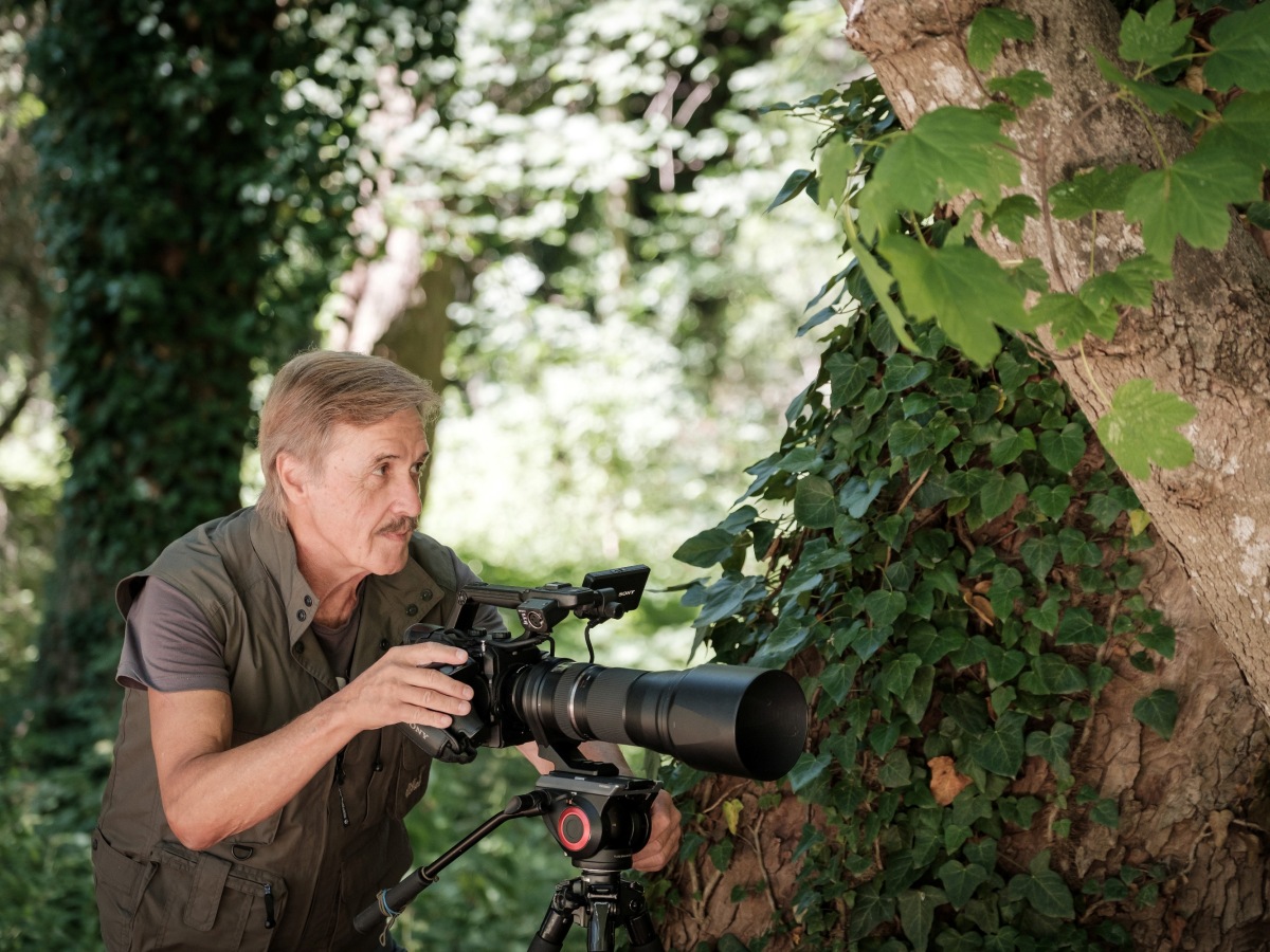 film, zdeno vlach