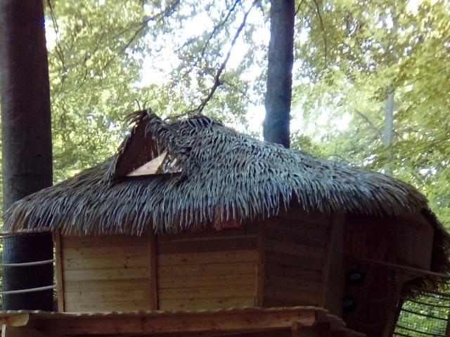 domcek
