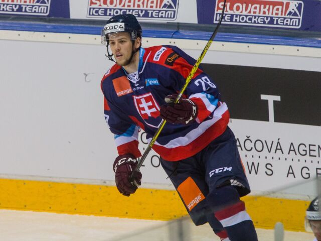 hokej, reprezentacia, sr, finsko, Gernat,