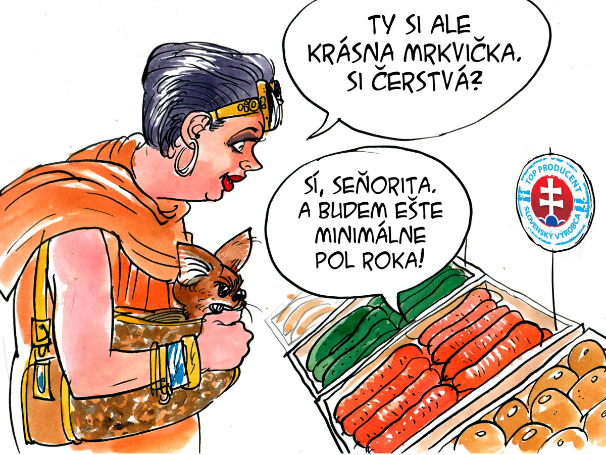 kresba, Danglár 25.8.2017