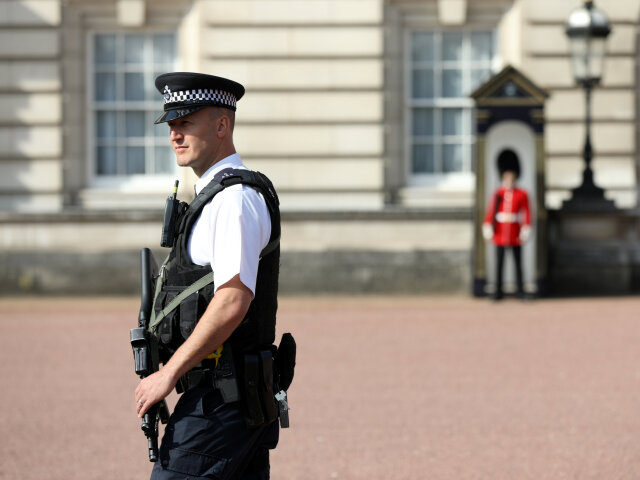 Buckinghamský palác, londyn, policajt