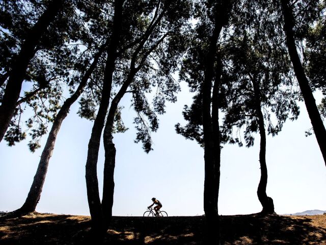 bicykel, cyklista, cyklistika, bicyklovanie, šport, stromy, park, prilba