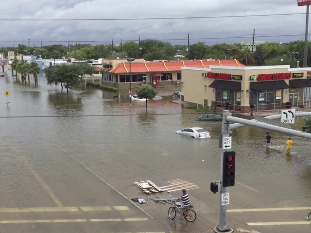 Harvey