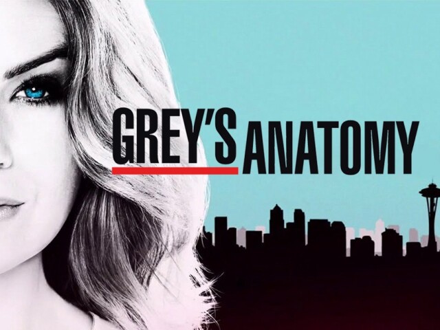 greys anatomy,
