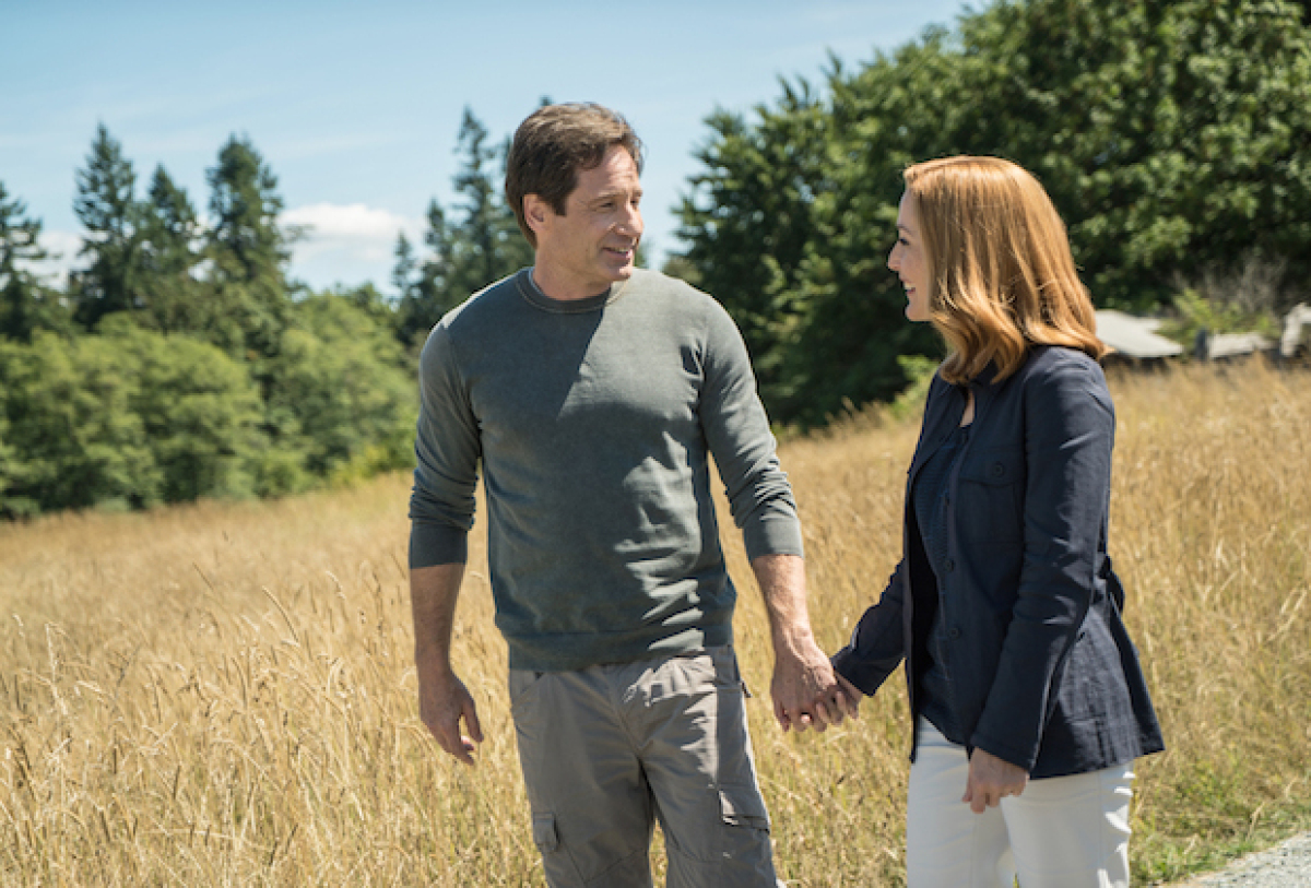 akty x, akty x 11, x-files, mulder, scullyová