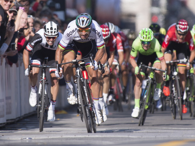 Peter Sagan