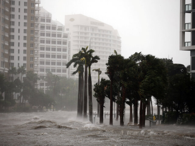 irma, hurikán, florida
