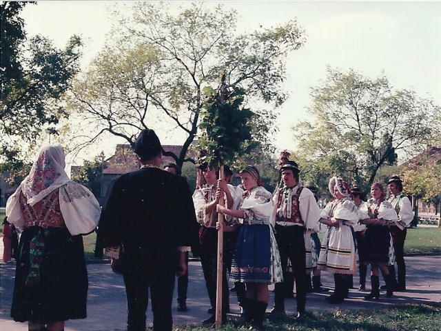 Vajnory odovzdávanie koruny