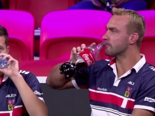 Davis Cup Jebavý
