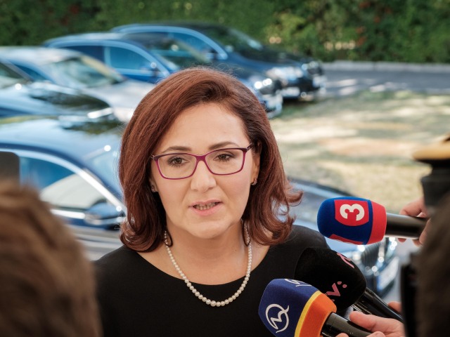 vlada, lubyova,