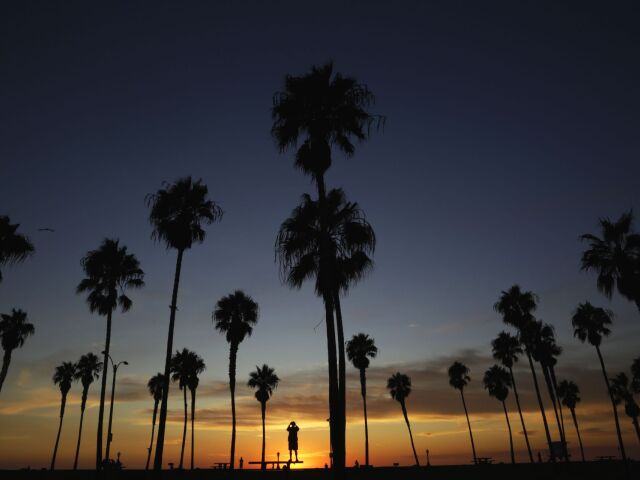 Kalifornia, palmy, leto