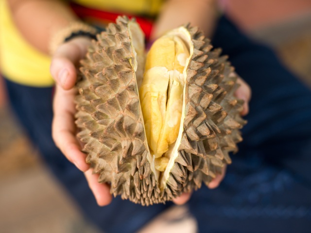 durian ovocie