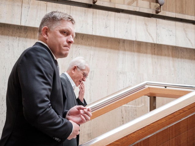 vlada, fico