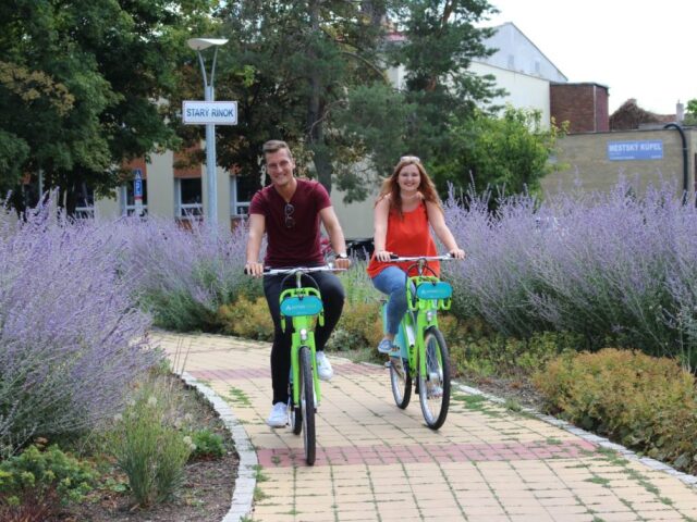 cyklisti, cyklochodník, Nitra, bicykel, bicykle