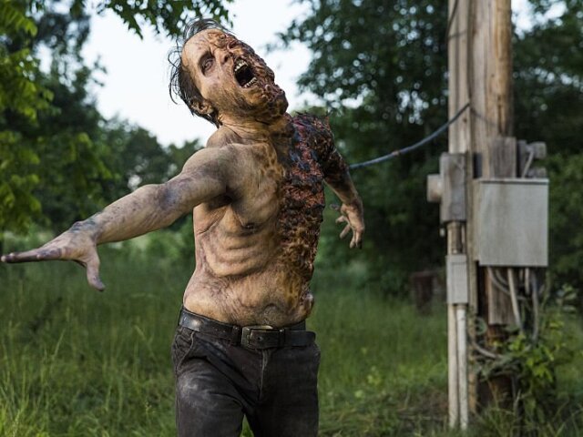 zombie, the walking dead,