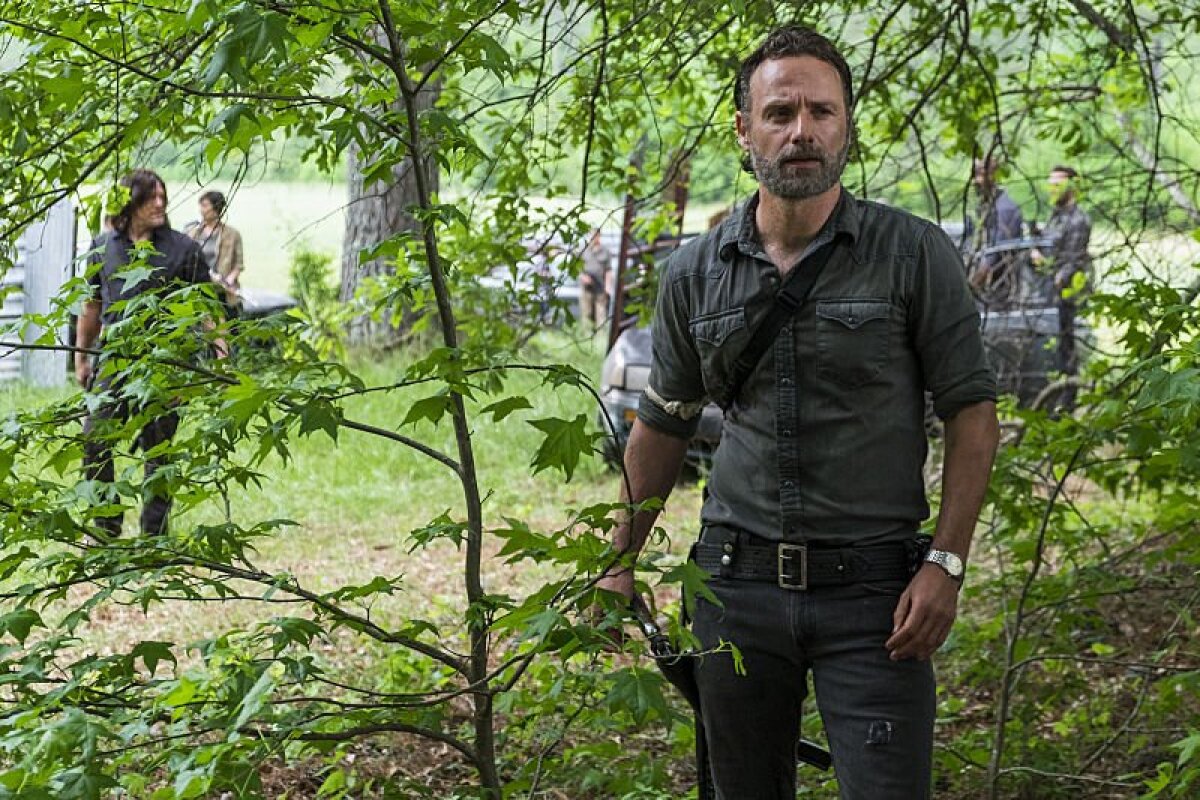rick, the walking dead,