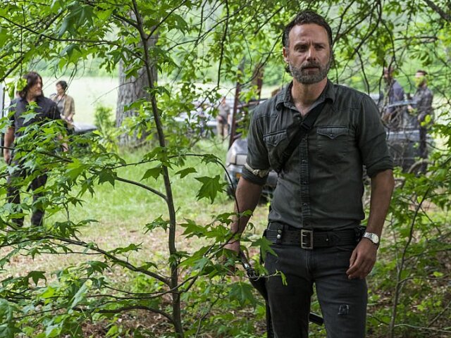 rick, the walking dead,