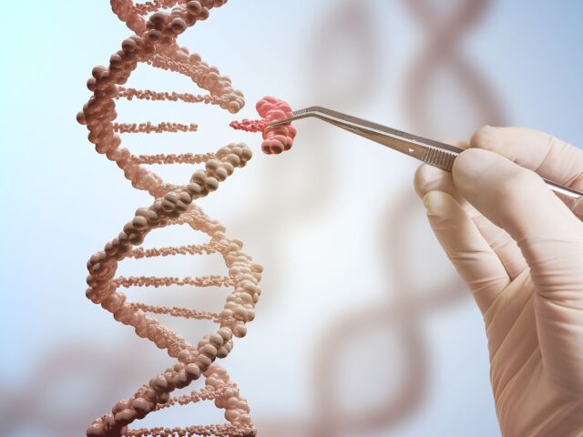 DNA, genetika