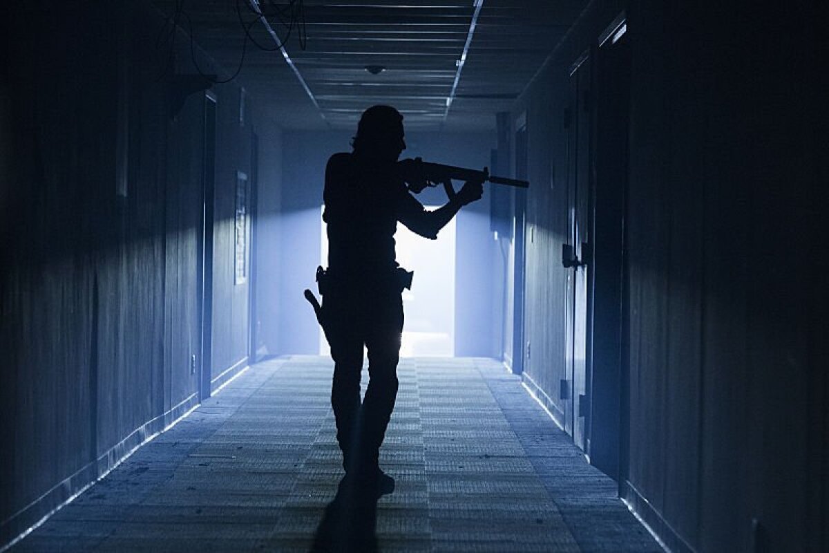 rick, the walking dead,
