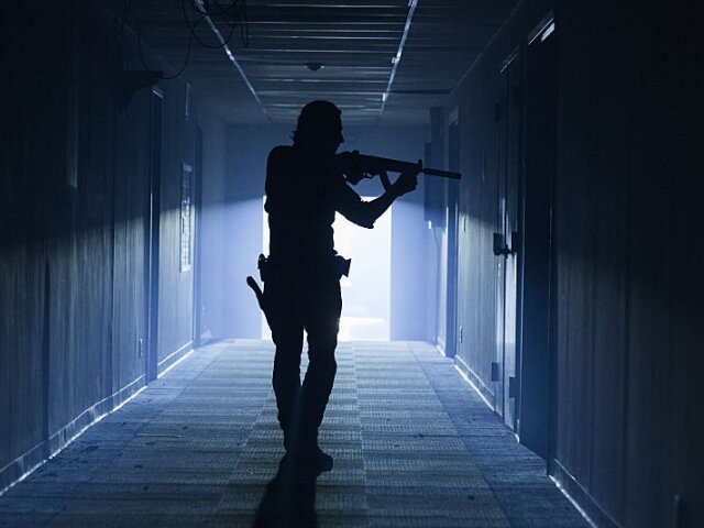 rick, the walking dead,