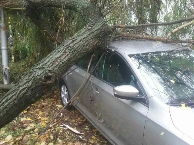 vietor, auto
