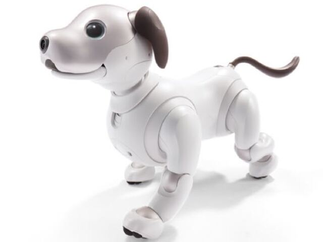 Aibo, domáci pes, umelá inteligencia, robotický pes