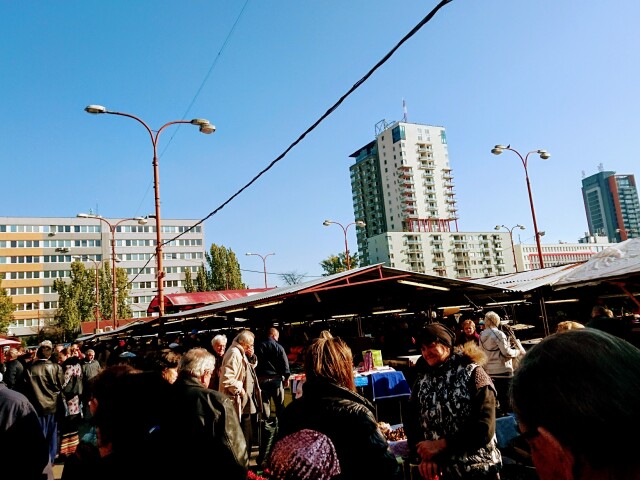 mileticka