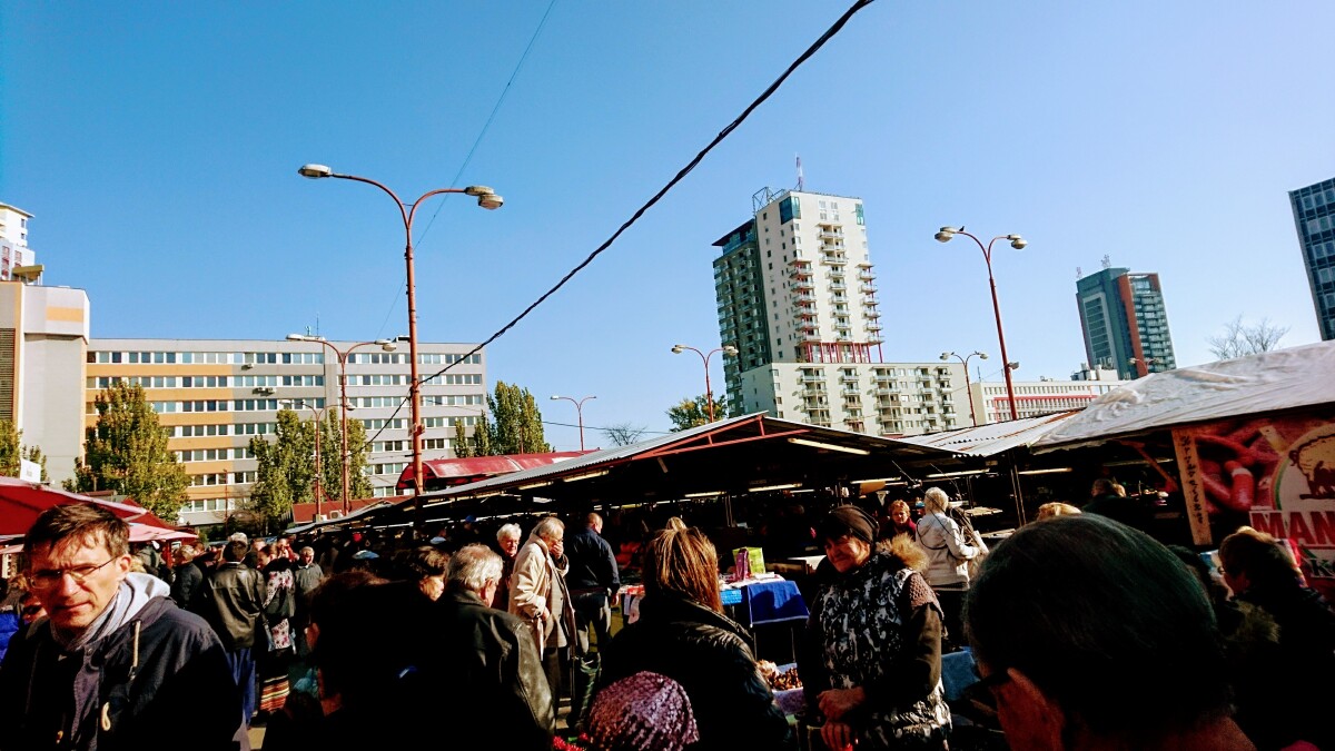 mileticka