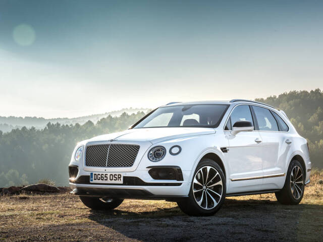 Bentayga arctica-2