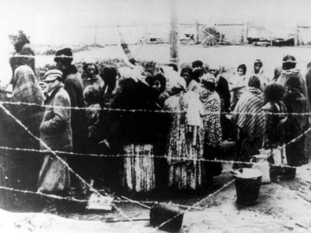 Bergen-Belsen, Rómovia