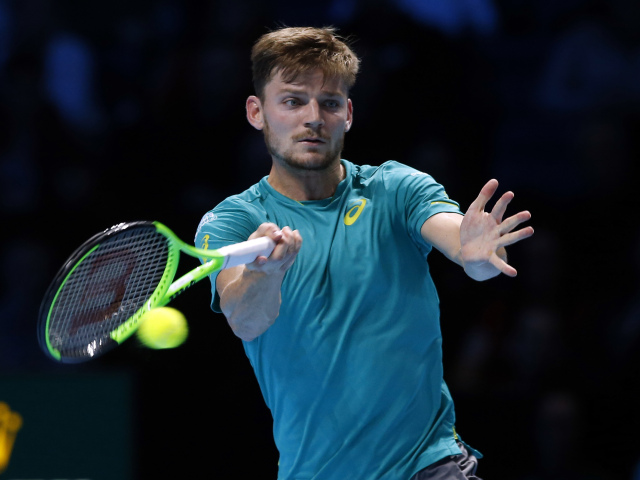 Goffin
